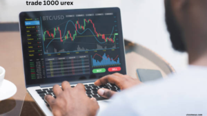 Is Hizgullmes Good? Eine umfassende Analyse