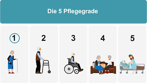 pflegegrad 5