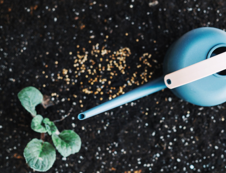 Der Schlüssel zu gesundem Pflanzenwachstum: Die richtige Düngung